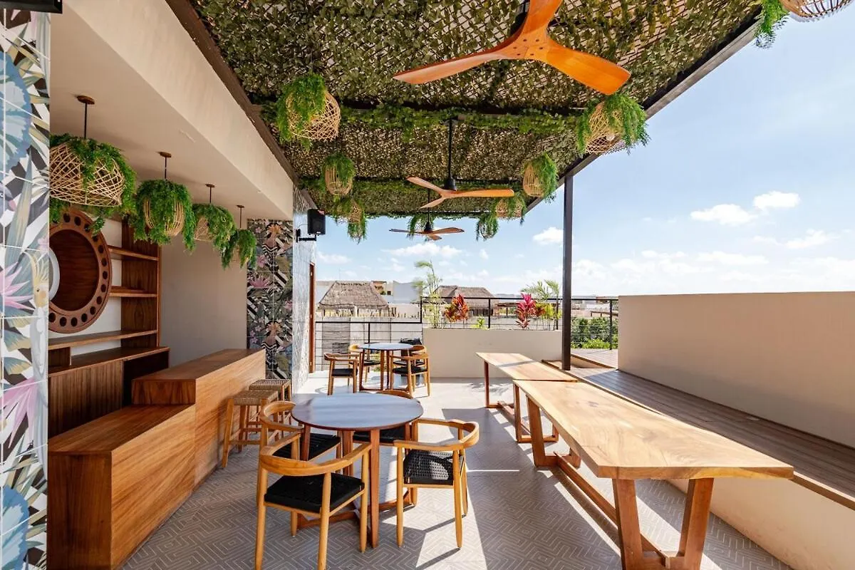 Solum Living Estudio Penthouse By Spot Rentals Tulum Apartment